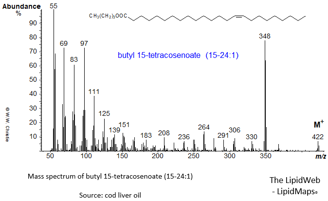 Mass spectrum of butyl 15-tetracosenoate (15-24:1 or nervonate)