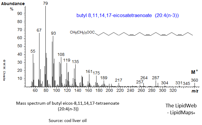 Mass spectrum of butyl 8,11,14,17-eicosatetraenoate (20:4(n-3))