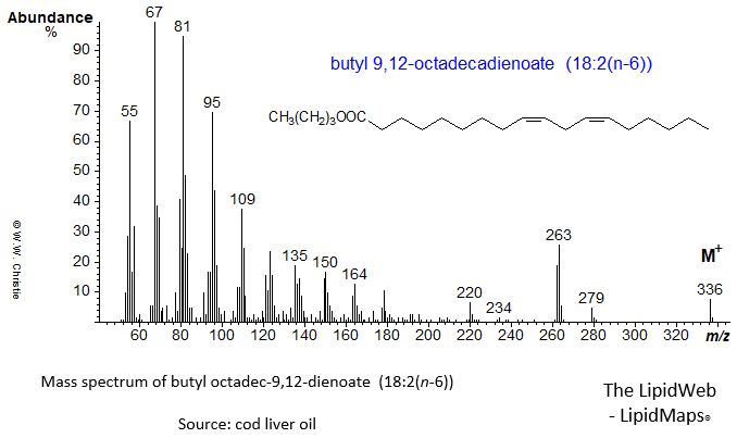 Mass spectrum of butyl 9,12-octadecadienoate (18:2(n-6) or linoleate)