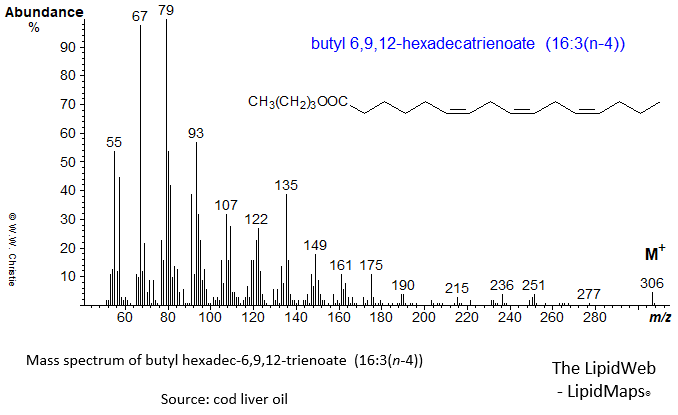 Mass spectrum of butyl 6,9,12-hexadecatrienoate (16:3(n-4))