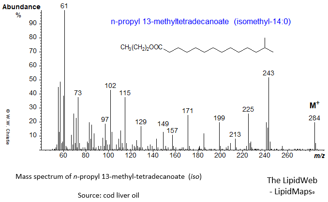 Mass spectrum of n-propyl 13-methyltetradecanoate (iso)