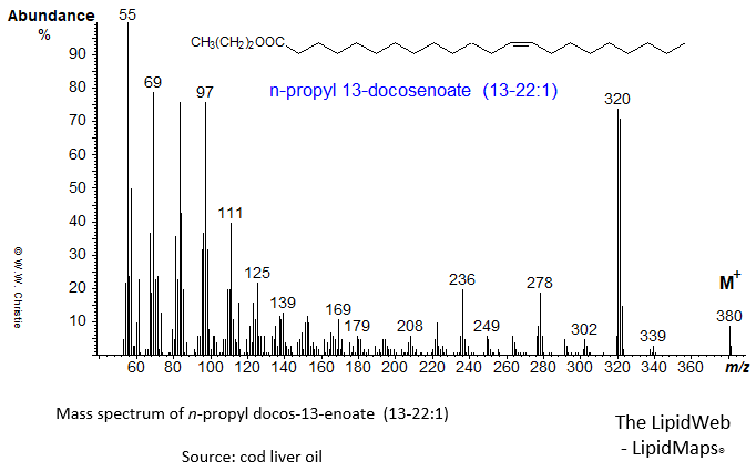 Mass spectrum of n-propyl 13-docosenoate (13-22:1 or erucate)