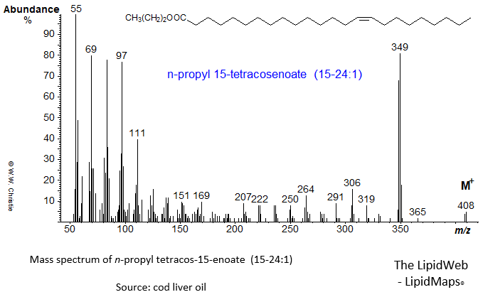 Mass spectrum of n-propyl 15-tetracosenoate (15-24:1 or nervonate)