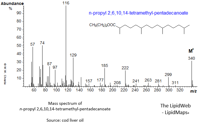 Mass spectrum of n-propyl 2,6,10,14-tetramethylpentadecanoate (pristanate)