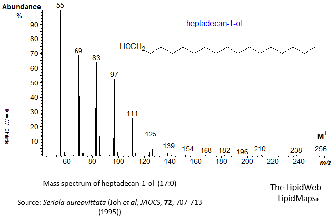 Mass spectrum of heptadecan-1-ol