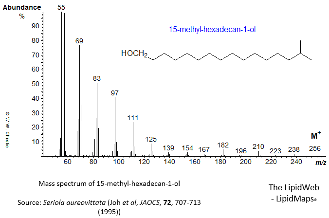 Mass spectrum of 15-methyl-hexadecan-1-ol