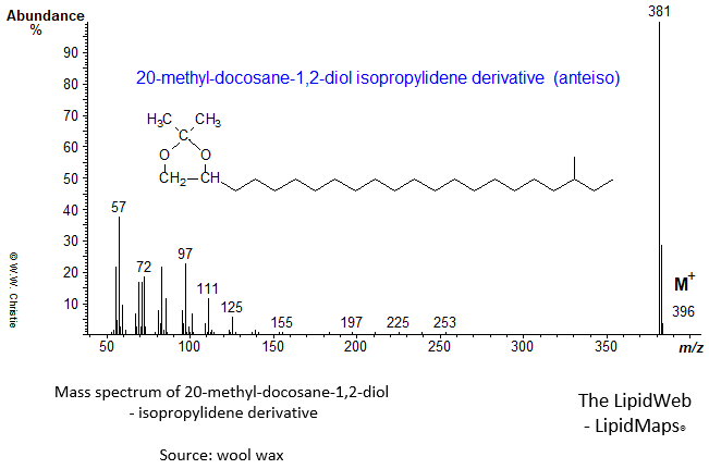 Mass spectrum of 20-methyl-docosane-1,2-diol (anteiso) - isopropylidene derivative