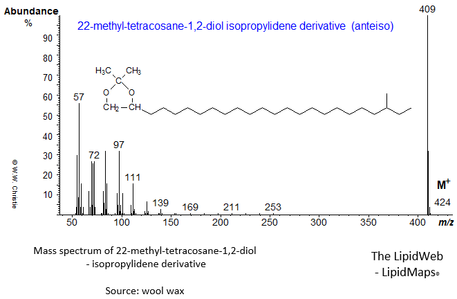 Mass spectrum of 22-methyl-tetracosane-1,2-diol (anteiso) - isopropylidene derivative