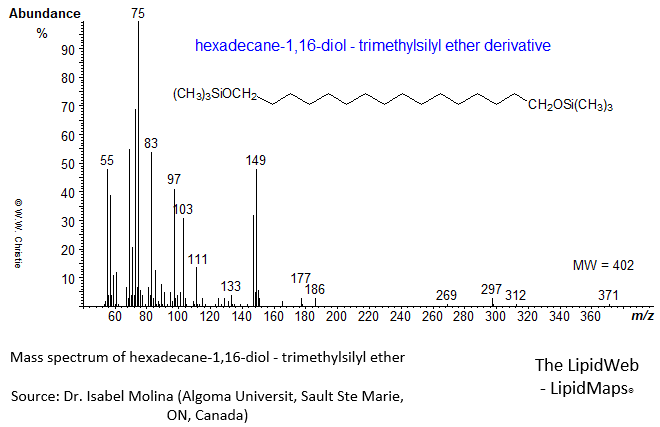 Mass spectrum of hexadecane-1,16-diol - trimethylsilyl ether derivative