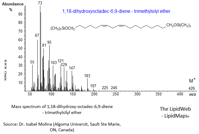 Mass spectrum of 1,18-dihydroxyoctadec-6,9-diene - trimethylsilyl ether derivative