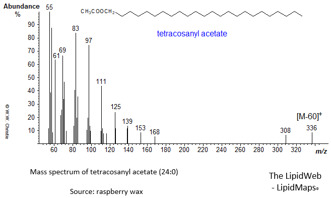 Mass spectrum of 1-tetracosanyl (24:0) - acetate