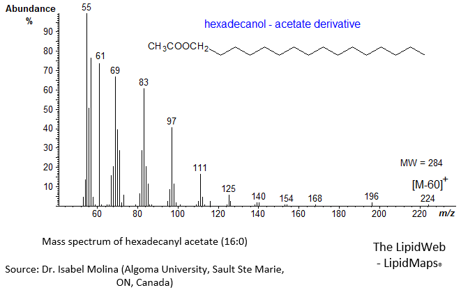 Mass spectrum of 1-hexadecanyl (16:0) - acetate