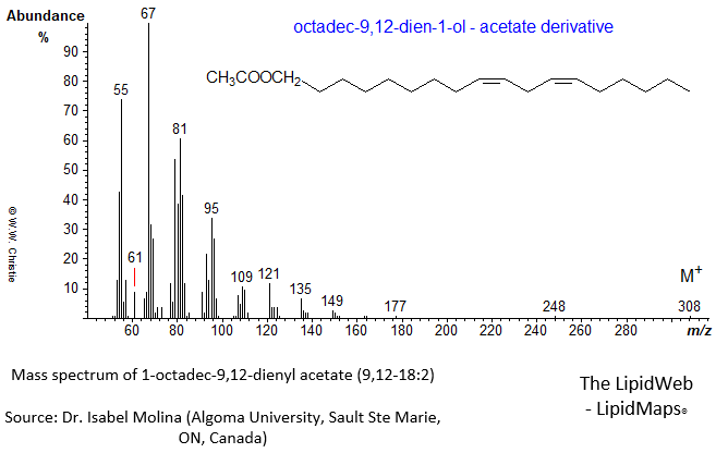 Mass spectrum of 1-octadec-9,12-dienol - acetate