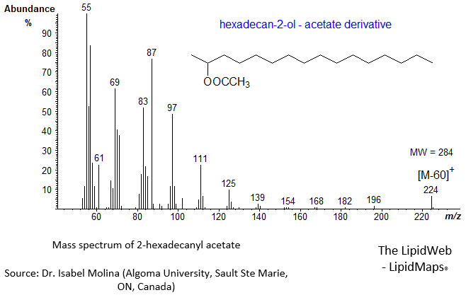 Mass spectrum of hexadecane-2-ol - acetate