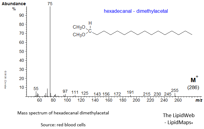 Mass spectrum of hexadecanal dimethylacetal