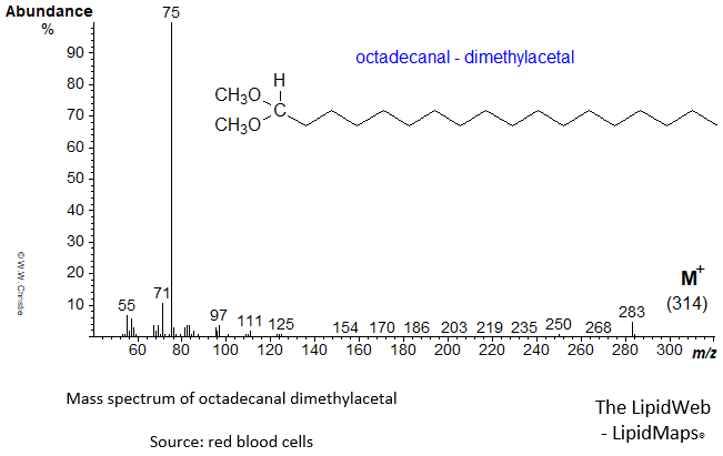Mass spectrum of octadecanal dimethylacetal