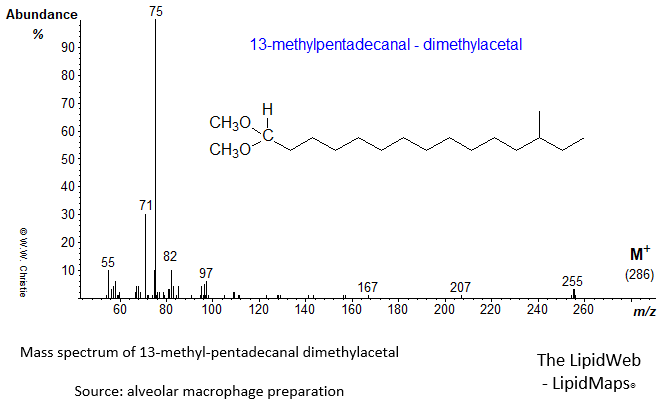 Mass spectrum of 13-methyl-pentadecanal dimethylacetal