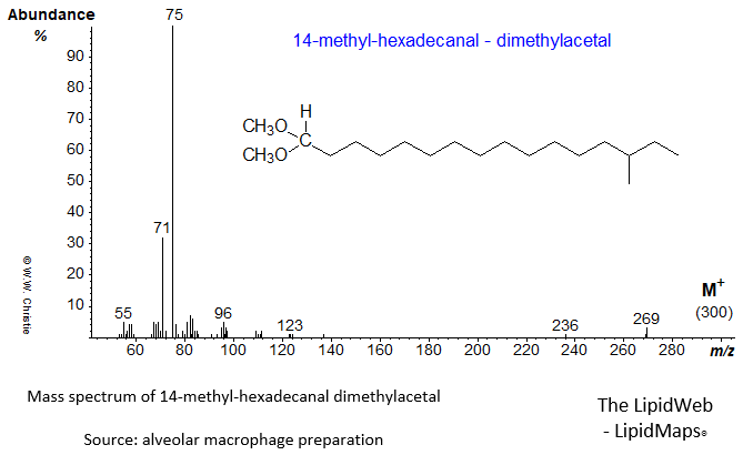 Mass spectrum of 14-methyl-hexadecanal  dimethylacetal
