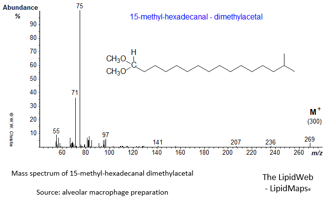 Mass spectrum of 15-methyl-hexadecanal dimethylacetal