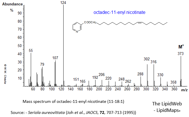Mass spectrum of octadec-11-enyl (11-18:1) nicotinate