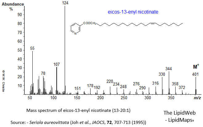 Mass spectrum of eicos-13-enyl (13-20:1) nicotinate