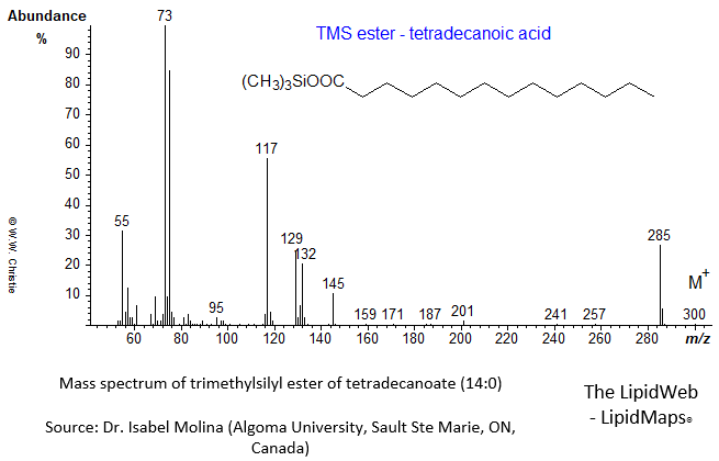 Mass spectrum of trimethylsilyl ester of tetradecanoate (14:0)