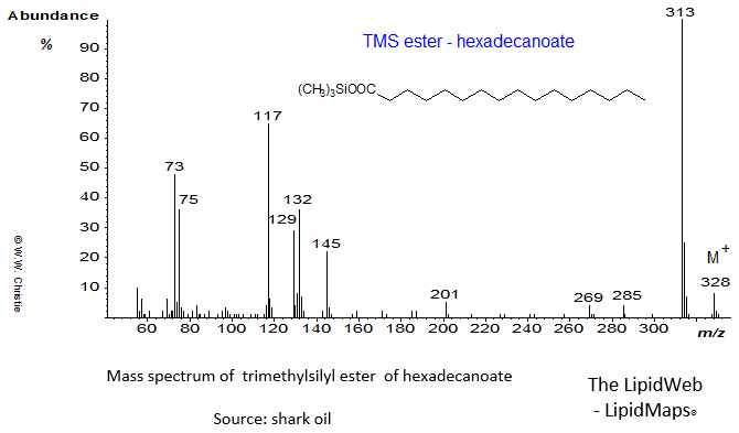 Mass spectrum of trimethylsilyl ester of hexadecanoate (16:0)