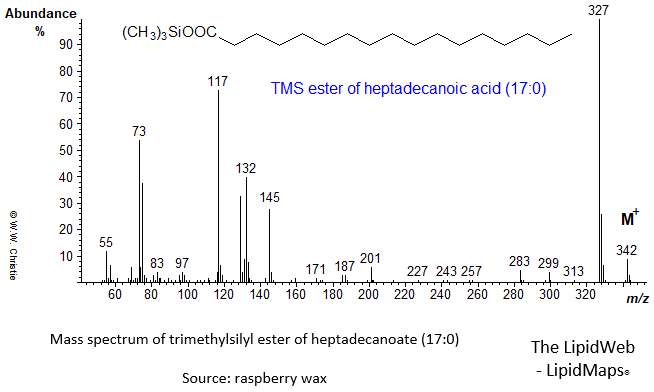 Mass spectrum of trimethylsilyl ester of heptadecanoate (17:0)