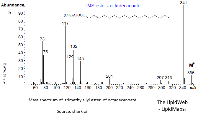 Mass spectrum of trimethylsilyl ester of octadecanoate (18:0)
