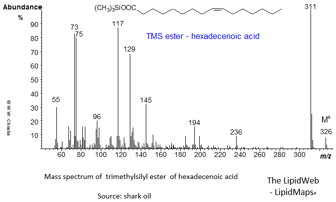 Mass spectrum of trimethylsilyl ester of hexadecenoate (16:1)
