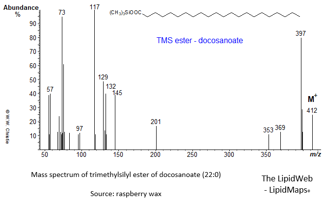 Mass spectrum of trimethylsilyl ester of docosanoate (22:0)