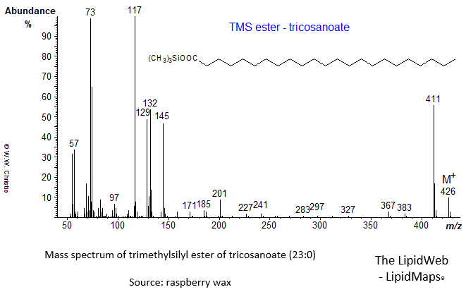 Mass spectrum of trimethylsilyl ester of tricosanoate (23:0)