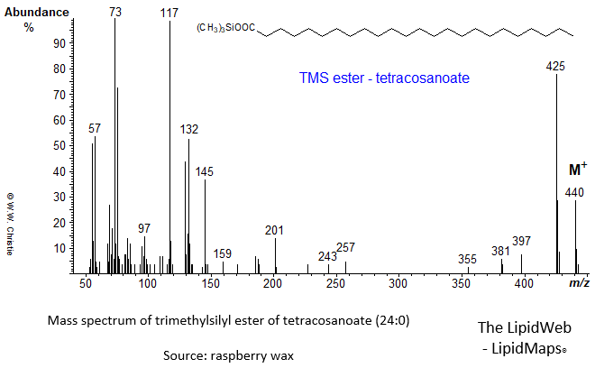 Mass spectrum of trimethylsilyl ester of tetracosanoate (24:0)