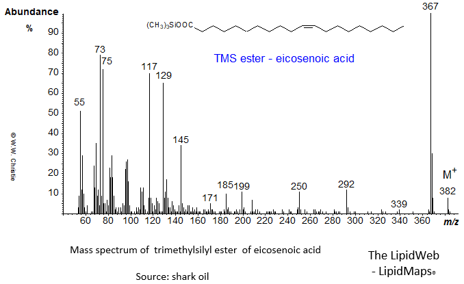 Mass spectrum of trimethylsilyl ester of eicosenoate (20:1)