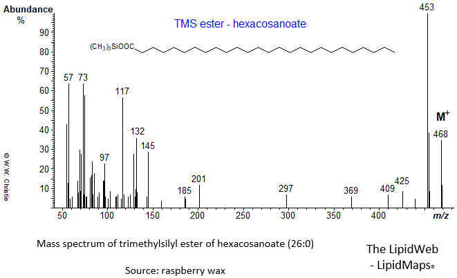 Mass spectrum of trimethylsilyl ester of hexacosanoate (26:0)