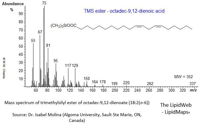 Mass spectrum of trimethylsilyl ester of octadec-9,12-dienoate