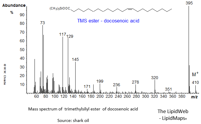 Mass spectrum of trimethylsilyl ester of docosenoate (22:1)