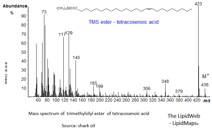 Mass spectrum of trimethylsilyl ester of tetracosenoate (24:1)