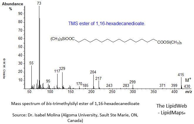 Mass spectrum of trimethylsilyl ester of hexadecane-1,16-dioate