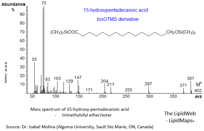 Mass spectrum of trimethylsilyl ester of 15-hydroxy-pentadecanoate (+ TMSE)