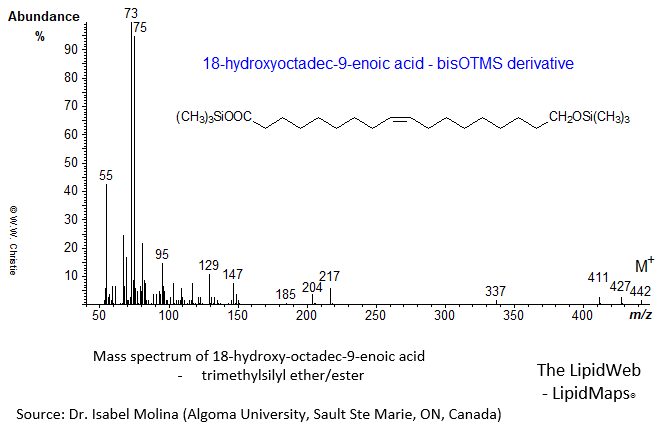 Mass spectrum of trimethylsilyl ester of 18-hydroxy-octadec-9-enoate (+ TMSE)