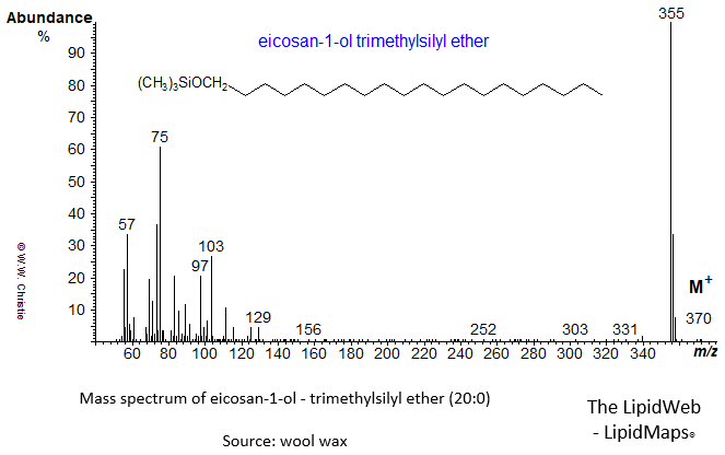Mass spectrum of eicosan-1-ol (20:0) - trimethylsilyl ether (TMS)