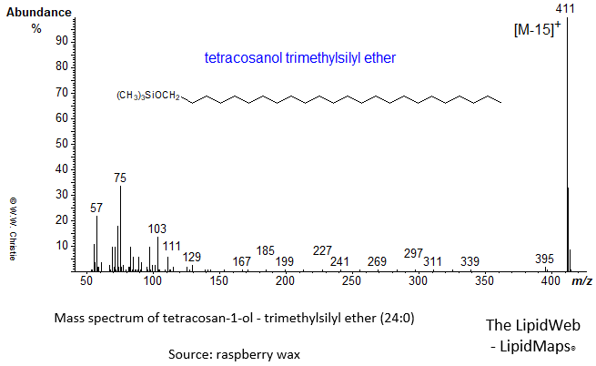 Mass spectrum of tetracosan-1-ol (24:0) - trimethylsilyl ether (TMS)