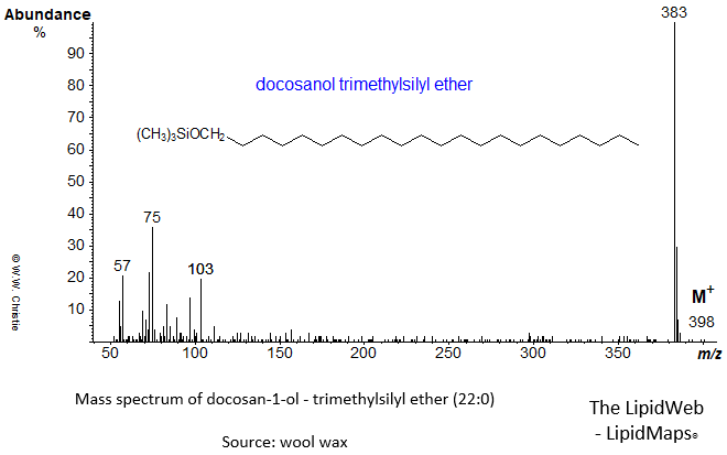 Mass spectrum of docosan-1-ol (22:0) - trimethylsilyl ether (TMS)
