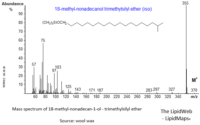 Mass spectrum of 18-methyl-nonadecan-1-ol (iso) - trimethylsilyl ether (TMS)