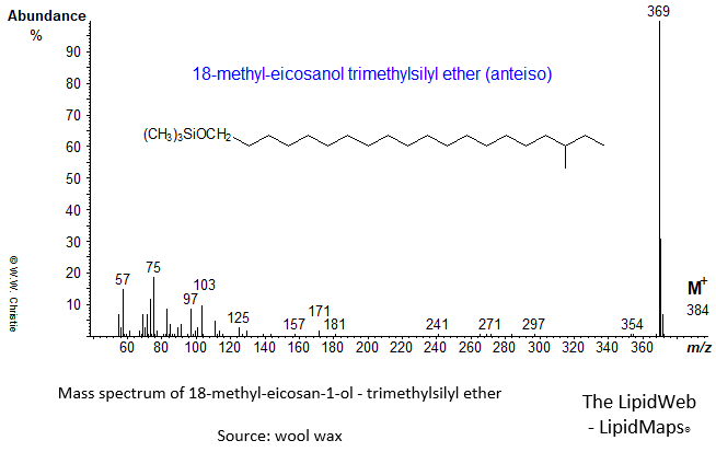 Mass spectrum of 18-methyl-eicosan-1-ol (anteiso) - trimethylsilyl ether (TMS)
