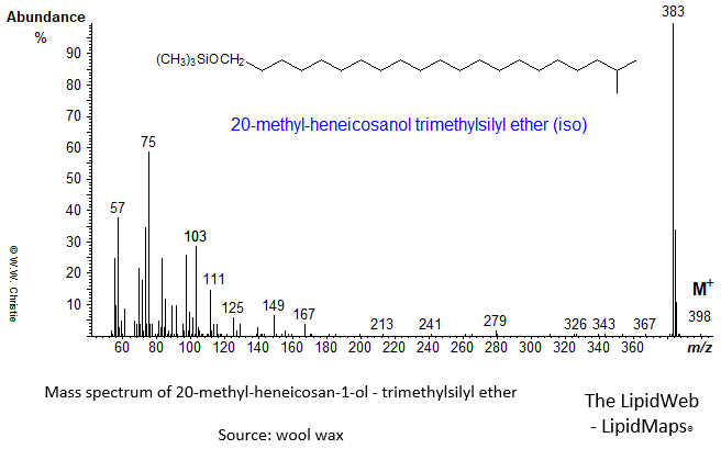 Mass spectrum of 20-methyl-heneicosan-1-ol (iso) - trimethylsilyl ether (TMS)