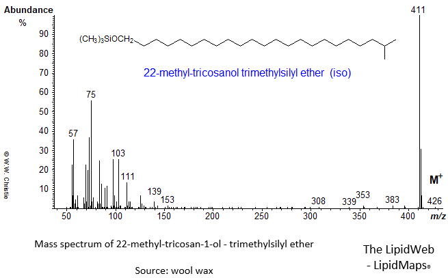 Mass spectrum of 22-methyl-tricosan-1-ol (iso) - trimethylsilyl ether (TMS)