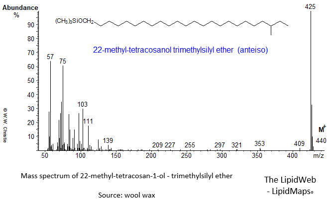 Mass spectrum of 22-methyl-tetracosan-1-ol (anteiso) - trimethylsilyl ether (TMS)