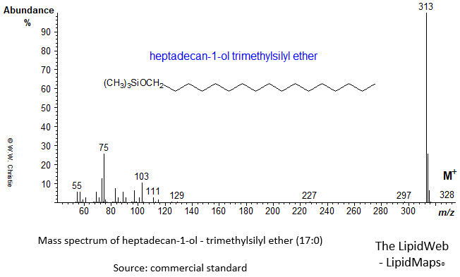 Mass spectrum of heptadecan-1-ol (17:0) - trimethylsilyl ether (TMS)